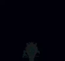 Image n° 7 - screenshots  : Super Sangokushi